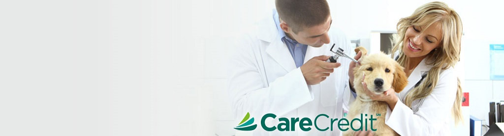 Care Credit Banner