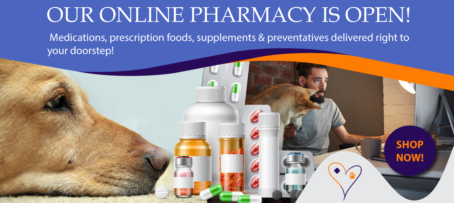 Online pharmacy banner