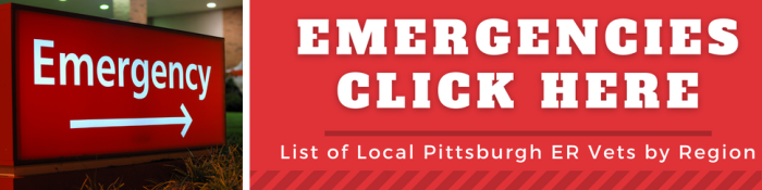 pittsburgh-emergency-vets_orig.png